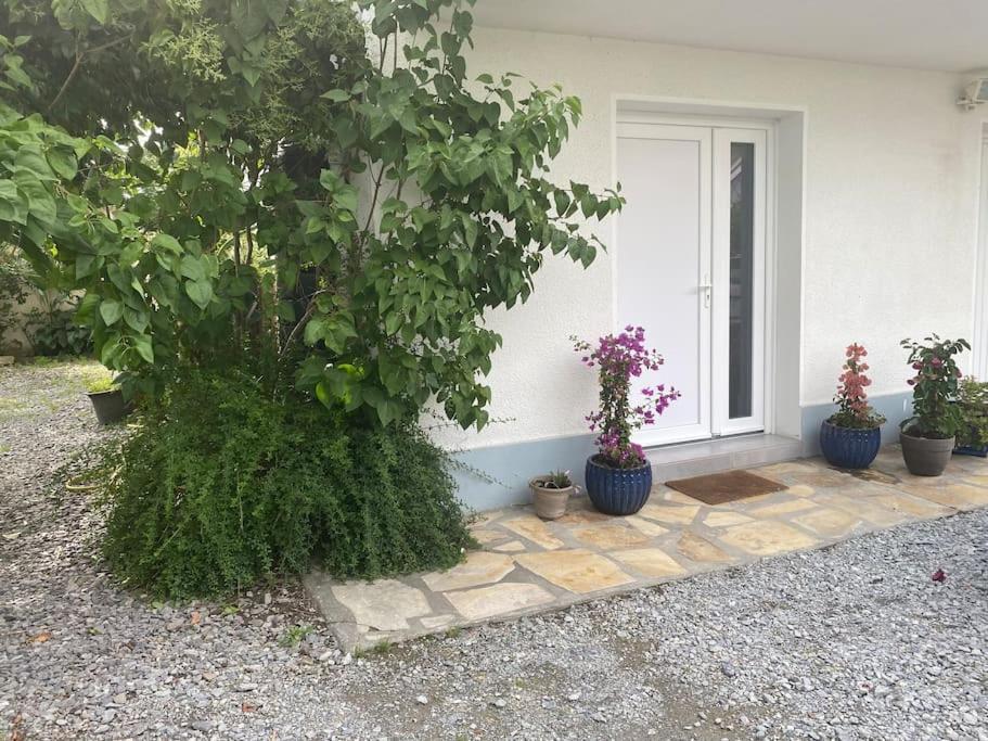 Ferienwohnung Zenitude Et Proximite Billere Exterior foto